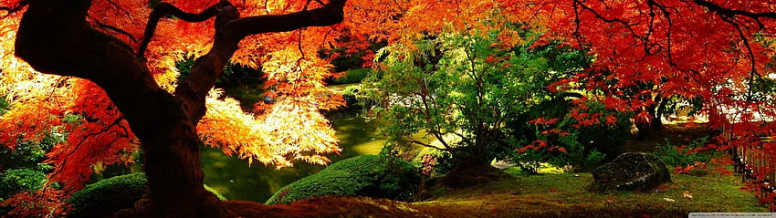 Schöner Herbst ❤ für • Dual-Monitor, japanischer Dual-schirm HD-Hintergrundbild