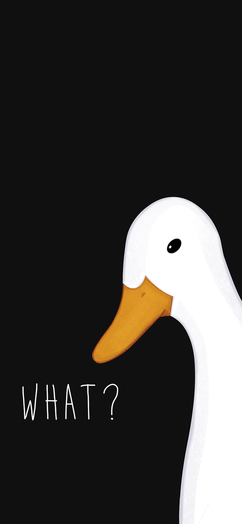 Hey goose!. Duck , Cute cartoon , Cartoon, Funny Goose HD phone wallpaper