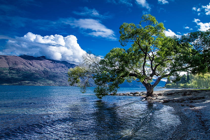 Danau Wakatipu, Queenstown, Pemandangan Selandia Baru, Pemandangan Selandia Baru Wallpaper HD