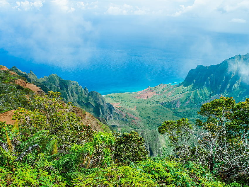 Alam Hawaii, Amerika Serikat, hawaii, pohon, alam, pegunungan, hutan, amerika serikat Wallpaper HD