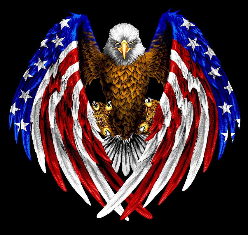 Patriotic, Patriotic Bald Eagle HD wallpaper