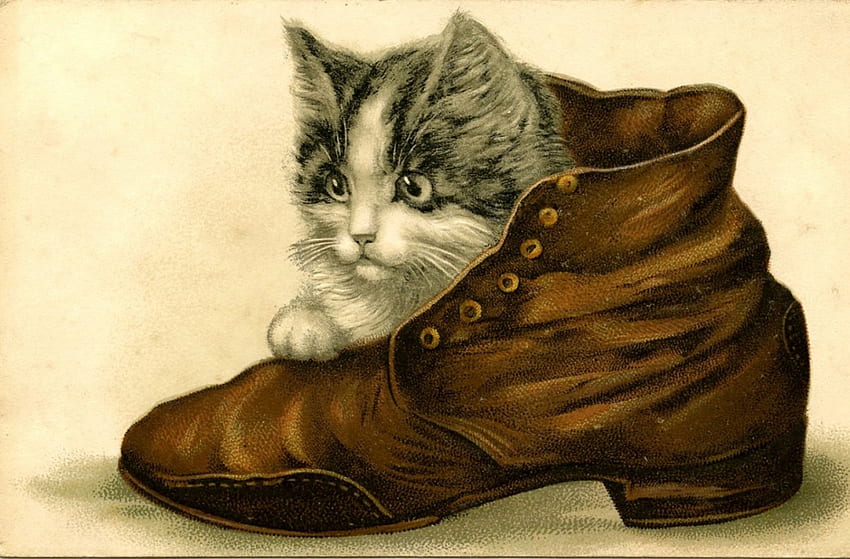 Surprise!, animal, kitten, card, cat, funny, shoe, vintage HD wallpaper