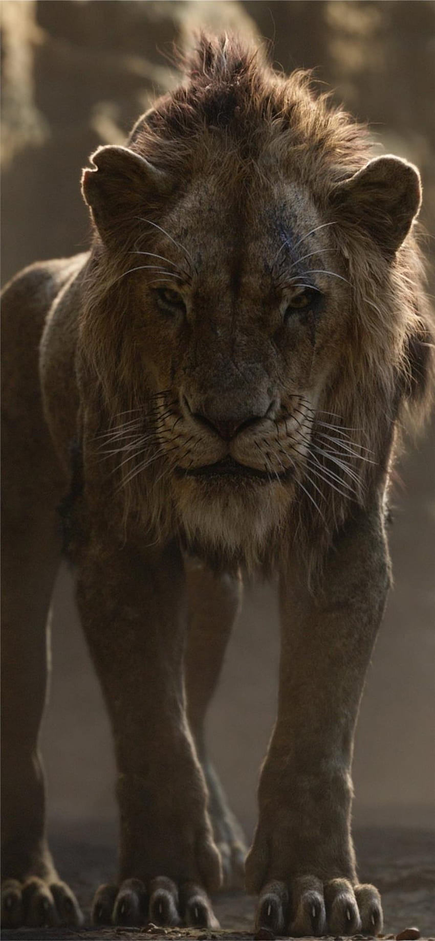the lion king 2019 scar iPhone X HD phone wallpaper