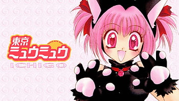 Anime Tokyo Mew Mew New ♡ 4k Ultra HD Wallpaper by 白米。