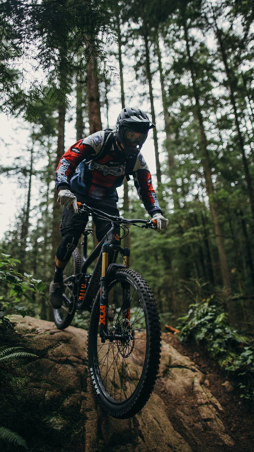 Download wallpaper 1350x2400 bike mtb black nature iphone 876s6  for parallax hd background