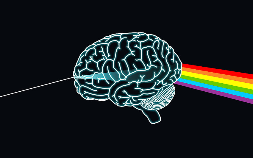Lisa Chen über DESIGNERS THINGS. Pink-Floyd-Kunst, Gehirn, Psychologie, Gehirnleistung HD-Hintergrundbild