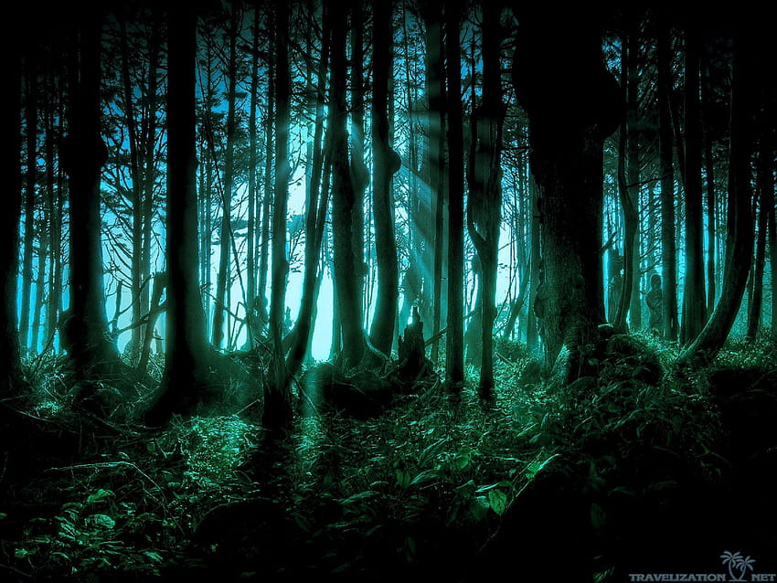 Creepy Forest Background, Creepy Nature HD wallpaper | Pxfuel