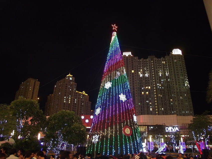 Iluminación del árbol de Navidad de Central Park. Manhattan. Árbol de Navidad de New York City (NYC), New York Times Square fondo de pantalla