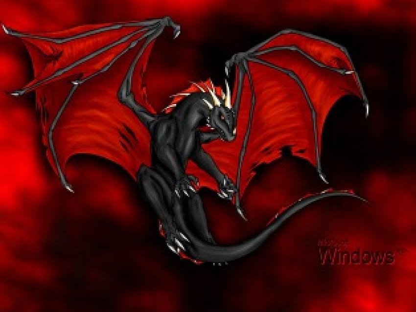Black-Dragon, dragón, negro, ventana fondo de pantalla