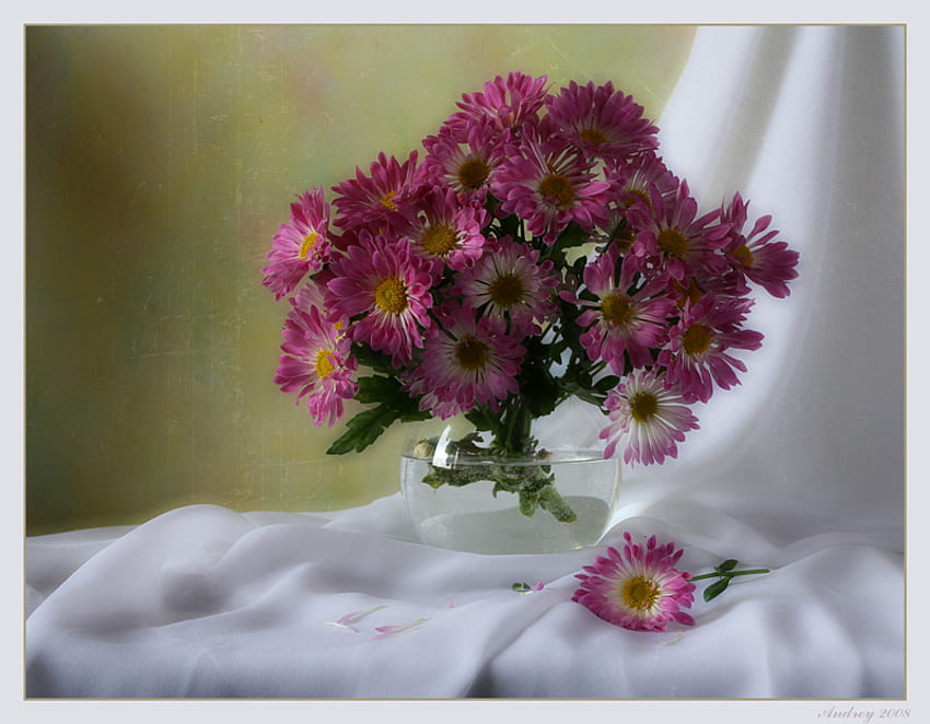 vase à fleurs, art, nature morte, vase en verre, joli, fond blanc, fleurs, eau Fond d'écran HD