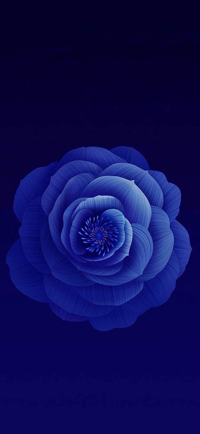 Blue Flower iPhone Wallpapers  Top Free Blue Flower iPhone Backgrounds   WallpaperAccess