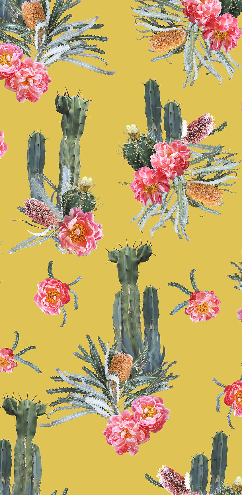Tropic Cacti Removable Traditional Prepasted, Yellow Cactus HD phone wallpaper