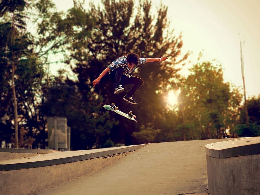 trees, skateboard, boy, skate, street standard 4:3 background HD wallpaper