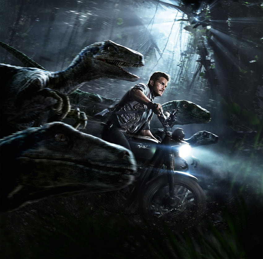 Chris Pratt, Jurassic World, Velociraptors, Film Wallpaper HD