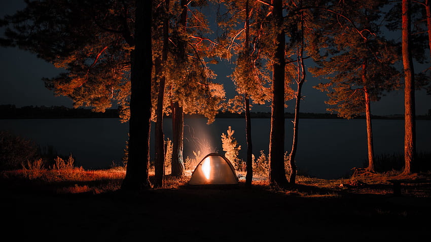 / テント、キャンプファイヤー、キャンプ、夜、自然、キャンプの森 高画質の壁紙