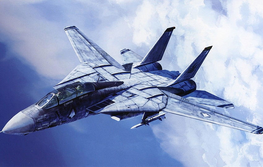 Grumman, Tomcat, F 14, Artwork, Aircraft For , Section авиация วอลล์เปเปอร์ HD