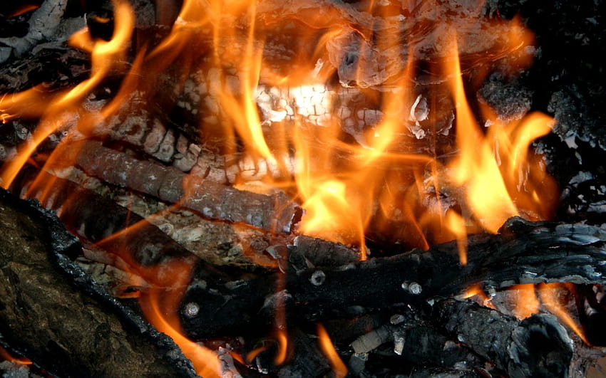 w ogniu, robak, kominek, ogień Tapeta HD