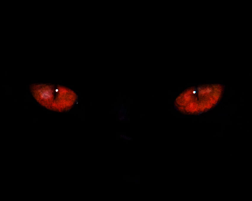 Glowing Red Wolf Eyes (Page 3) - Line HD wallpaper