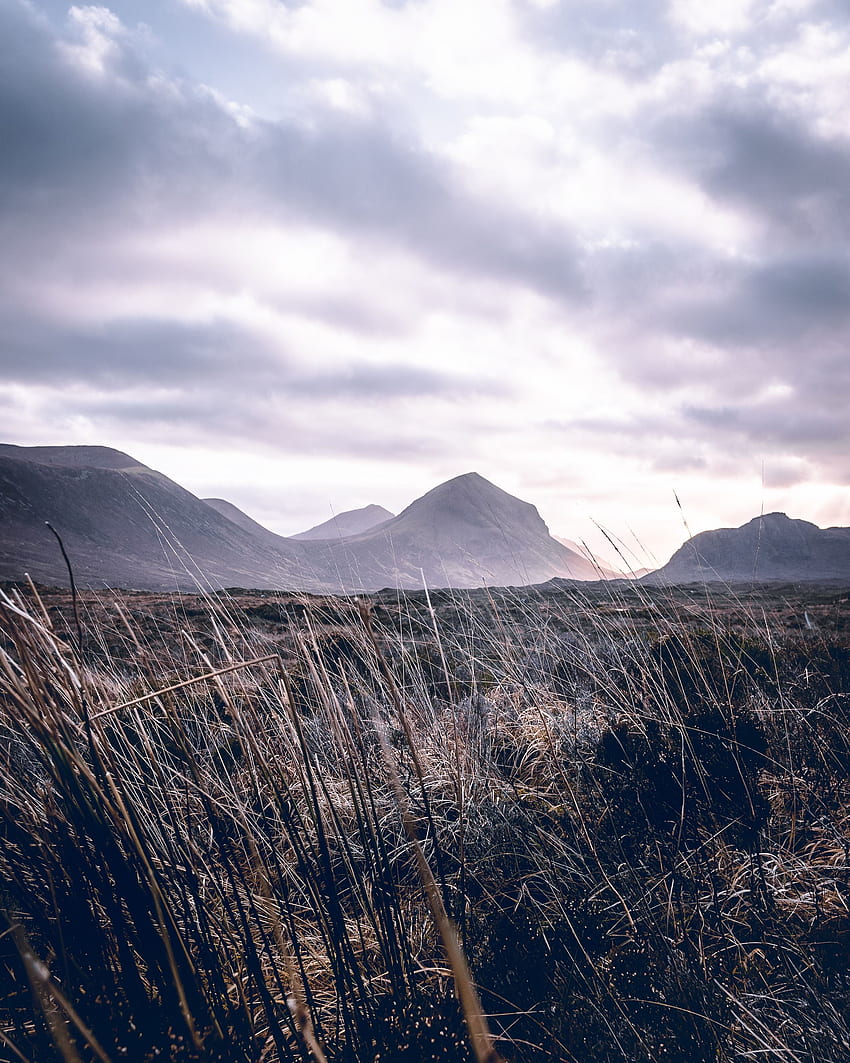 Landscape, Nature, Grass, Mountains, Clouds, Fog, Hilly HD phone wallpaper