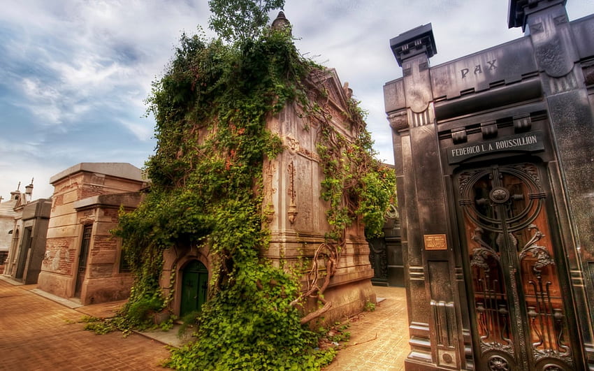 vine covered crypt in a louisiana cemetery r, cemetery, crypts, vine, r, overgrown HD wallpaper