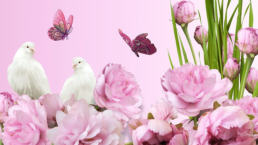 Pembe Etiket - Huzurlu Çiçekler Güvercinler Parlak Bahar Şakayıkları Pembe Yemyeşil Yaz Güvercini Kokulu Zarif Aroma HD duvar kağıdı