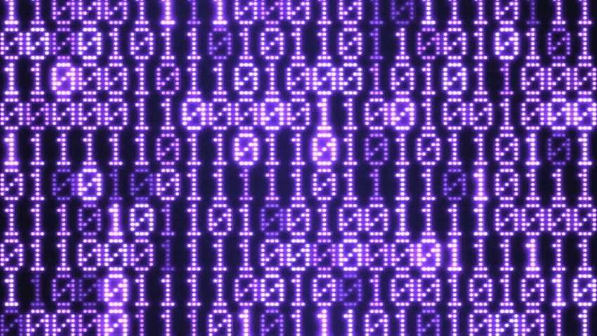 Animación de pared de visualización de código binario - de movimiento púrpura de bucle, código binario de arco iris fondo de pantalla