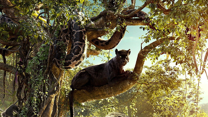 The Jungle Book Background - Mowgli Le HD wallpaper