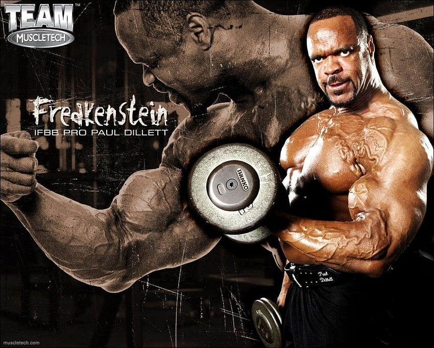 Interesting Flickr tagged bodybuilding, Body Builder HD wallpaper