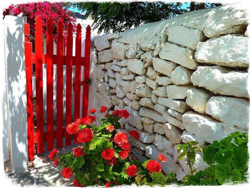 czerwone drzwi ogrodowe, kamienna ściana, architektura, ogród, czerwone drzwi, kwiaty Tapeta HD