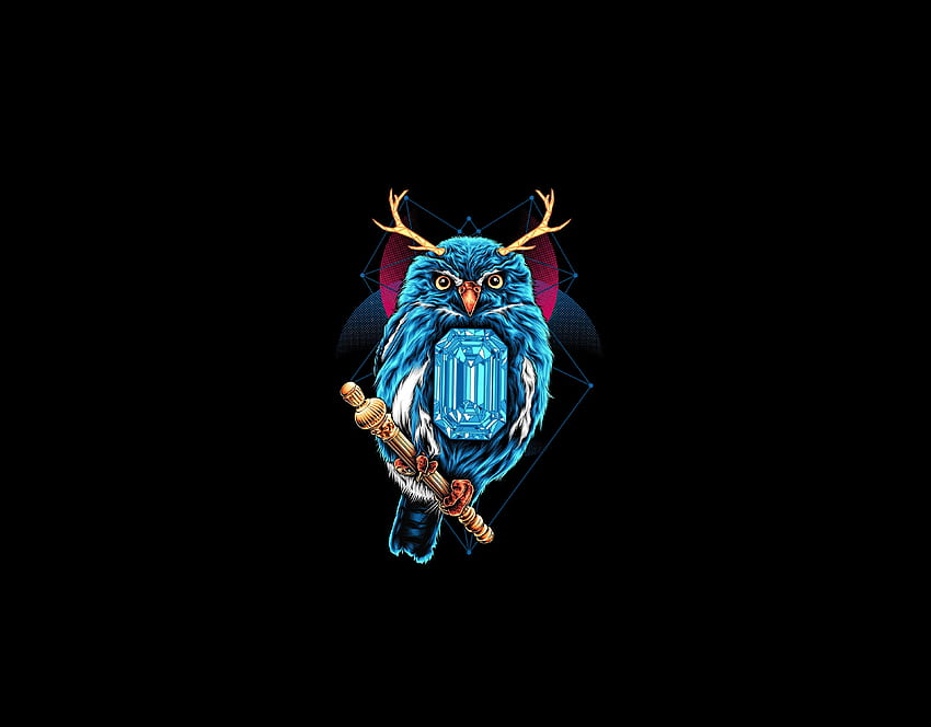 Blue Owl, dark, art HD wallpaper