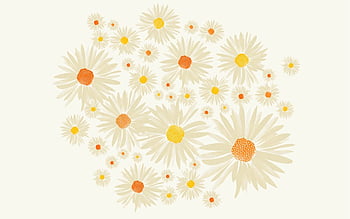 Daisy Flower Hipster Plants HD wallpaper  Pxfuel