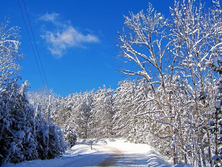 Old Country Road, winter, road, sky, snow HD wallpaper