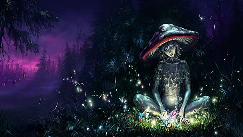 Anime Mushroom Wallpapers  Top Free Anime Mushroom Backgrounds   WallpaperAccess