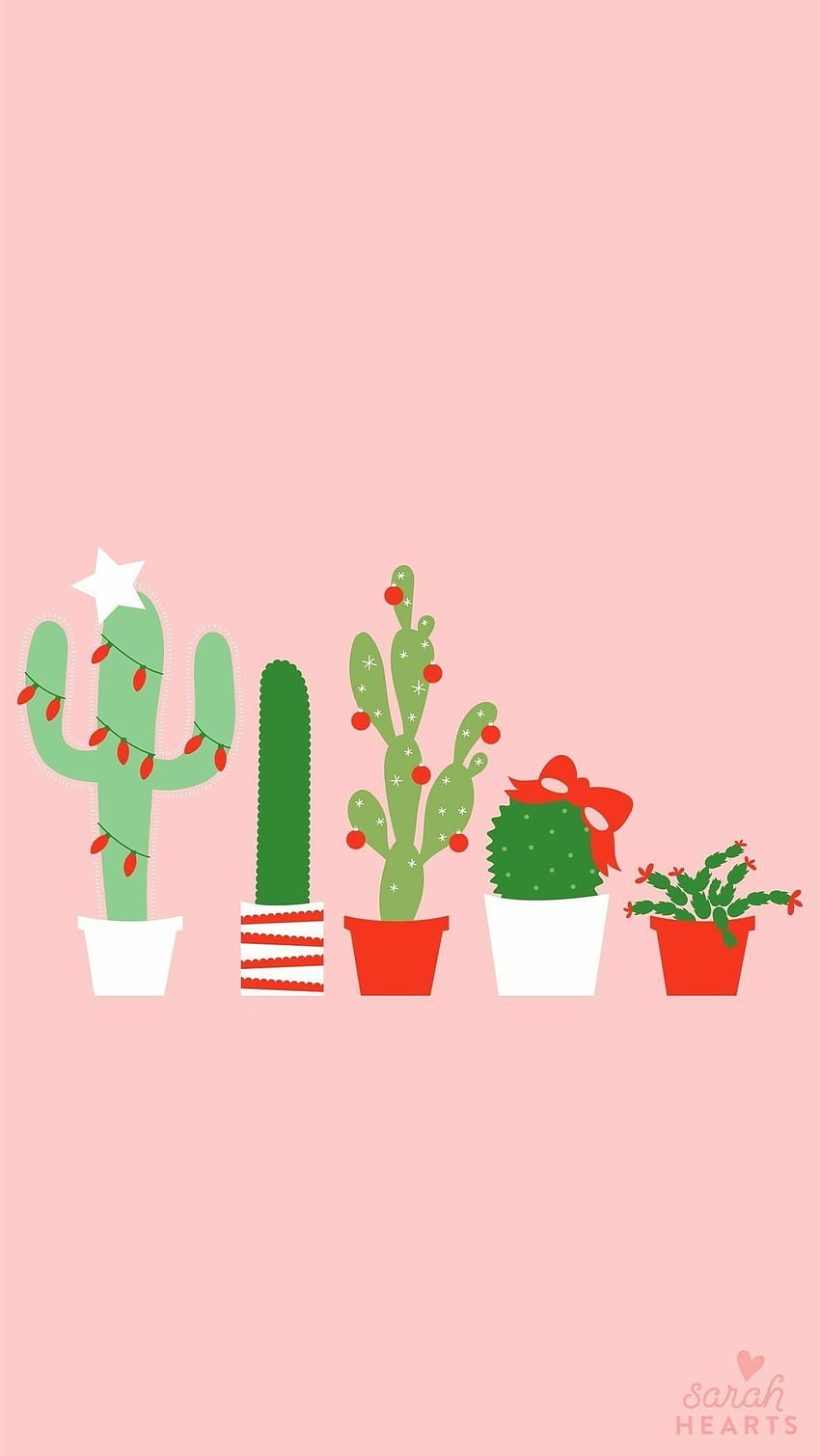 Cheerful Christmas Cactus - iPhone . HD phone wallpaper | Pxfuel