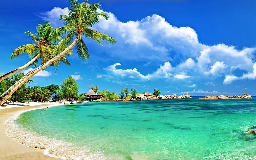 Awesome tropical beach HD wallpapers | Pxfuel
