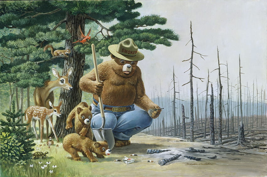 Smokey Bear Mobile: \u201cมีเพียงคุณเท่านั้นที่ป้องกันไฟป่าได้\u201d กังหันลม. หมีสโมคกี้ แบร์ สโมคกี้ วอลล์เปเปอร์ HD