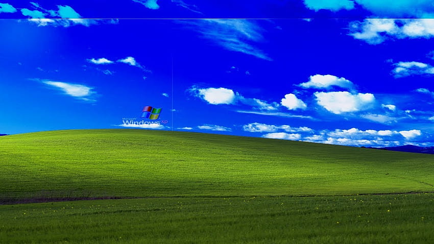 Here's how to visit the iconic hill in the Windows XP background – Film  Daily, Windows XP Grass HD wallpaper | Pxfuel