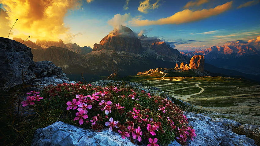 Tofana peak, Dolomites, อิตาลี, ดอกไม้, ท้องฟ้า, เทือกเขาแอลป์, ภูเขา, พระอาทิตย์ขึ้น, สี, ภูมิประเทศ, หิน, เมฆ, South Tyrol วอลล์เปเปอร์ HD