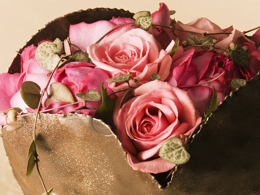 Bellissime rose, rose rosa, bouquet, foglie di edera Sfondo HD