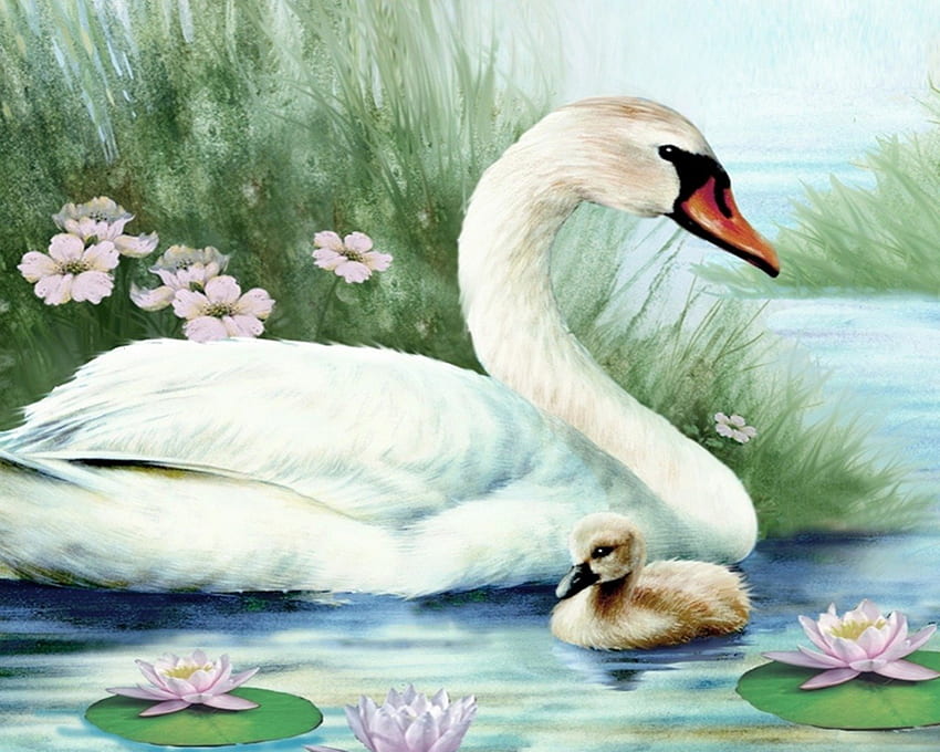 Swan family, colorful, white, peaceful, beautiful, lake, painting, young, mother, swan, splendor, water HD wallpaper