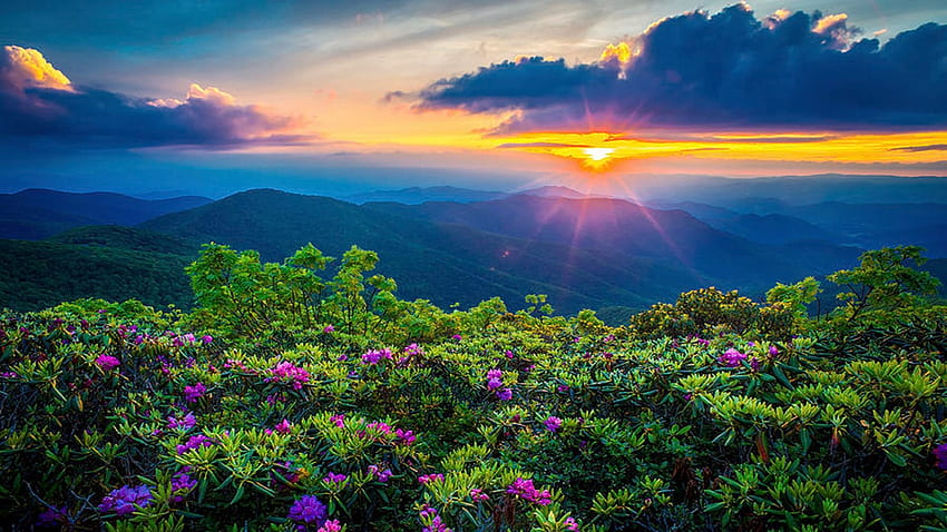 Blue Ridge Parkway ใกล้ Asheville, North Carolina, ท้องฟ้า, ดวงอาทิตย์, ป่า, พระอาทิตย์ตก, เนินเขา, สี, ภูมิประเทศ, สหรัฐอเมริกา, เมฆ, ต้นไม้, ภูเขา วอลล์เปเปอร์ HD