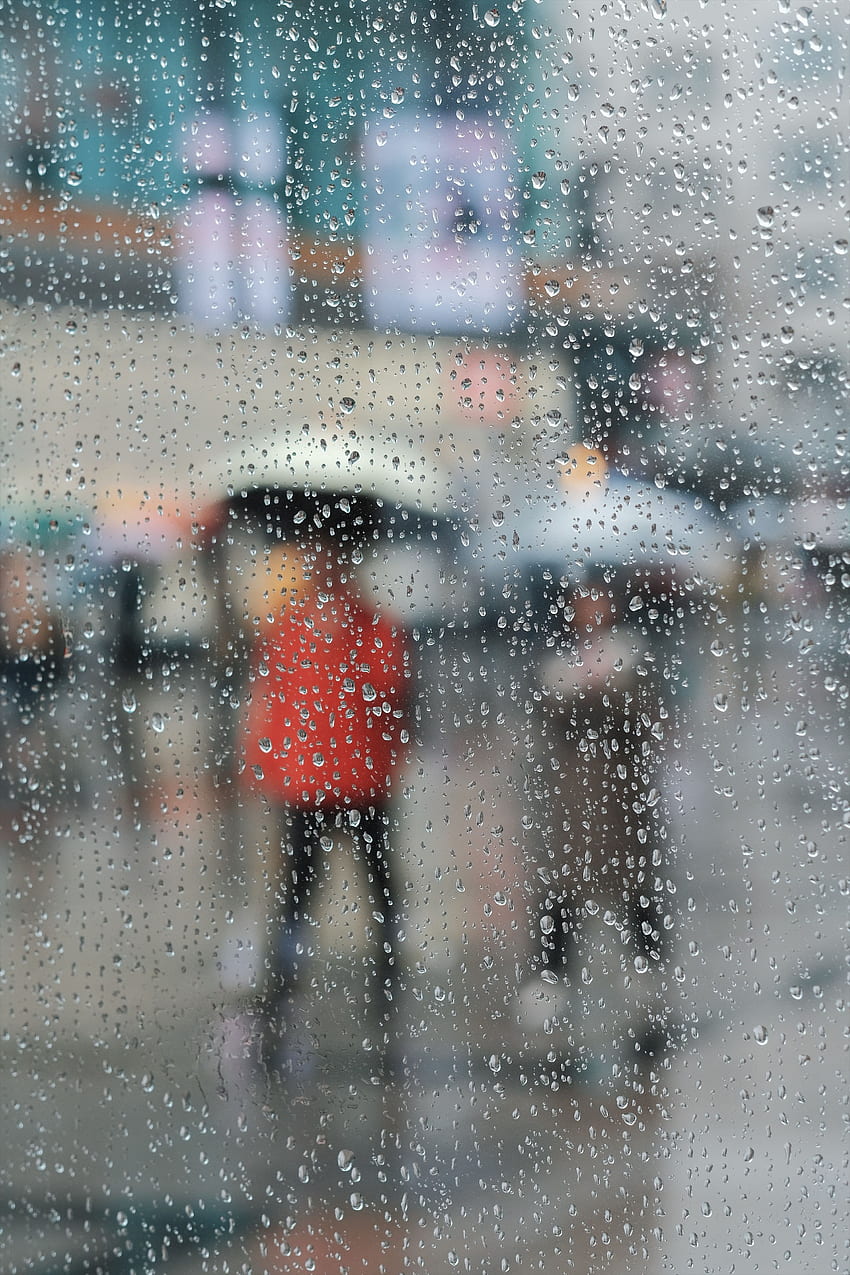 雨, 滴, マクロ, 表面, 水分, ガラス HD電話の壁紙