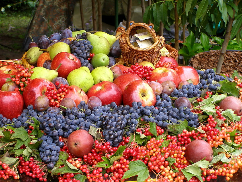 Грозде, плодове, храна, ябълки, партида HD тапет