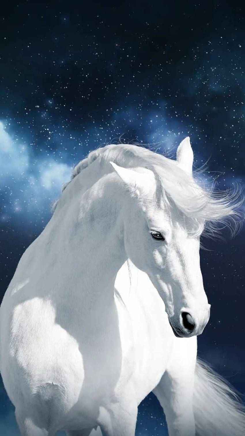 White horse by georgekev - fe now. Browse millions of popular animal and Rin. Animaux beaux, Jolis chevaux, Animaux, Beautiful White Horse HD phone wallpaper