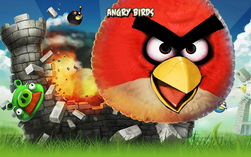 Jogo Angry Birds, pássaros, diversão, pássaros irritados, legal, divirta-se papel de parede HD