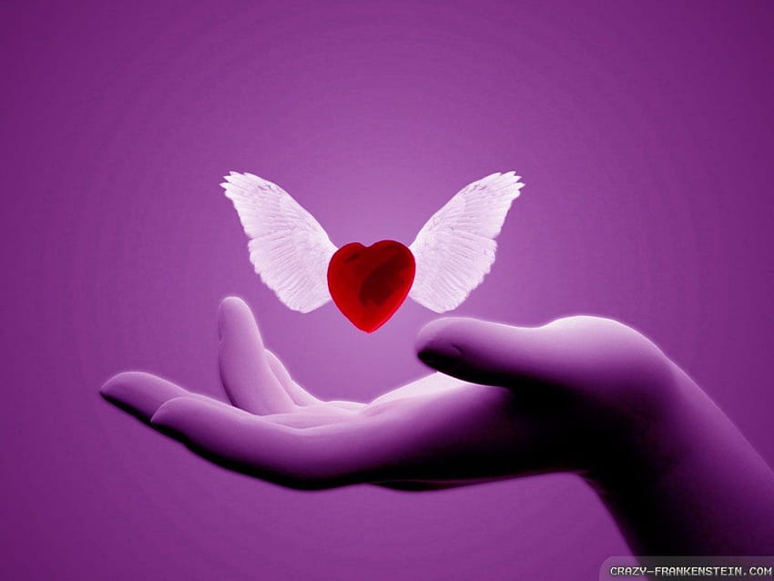 Valentine's day Love, Purple Valentine's Day HD wallpaper