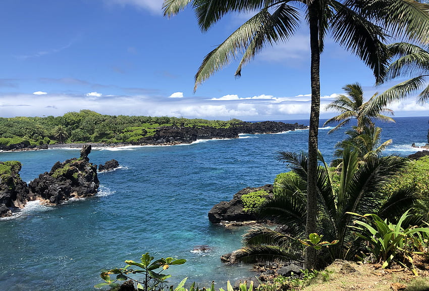 Wai’anapanapa State Park, coast, palm trees, sea, Maui, Hawaii, rocks, usa HD wallpaper
