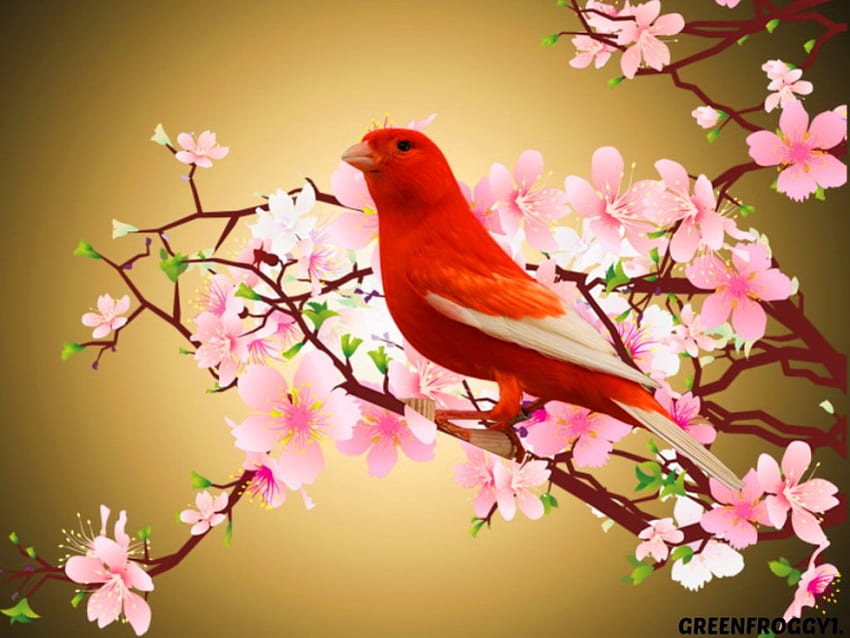 Red, branches, bird, blossoms HD wallpaper