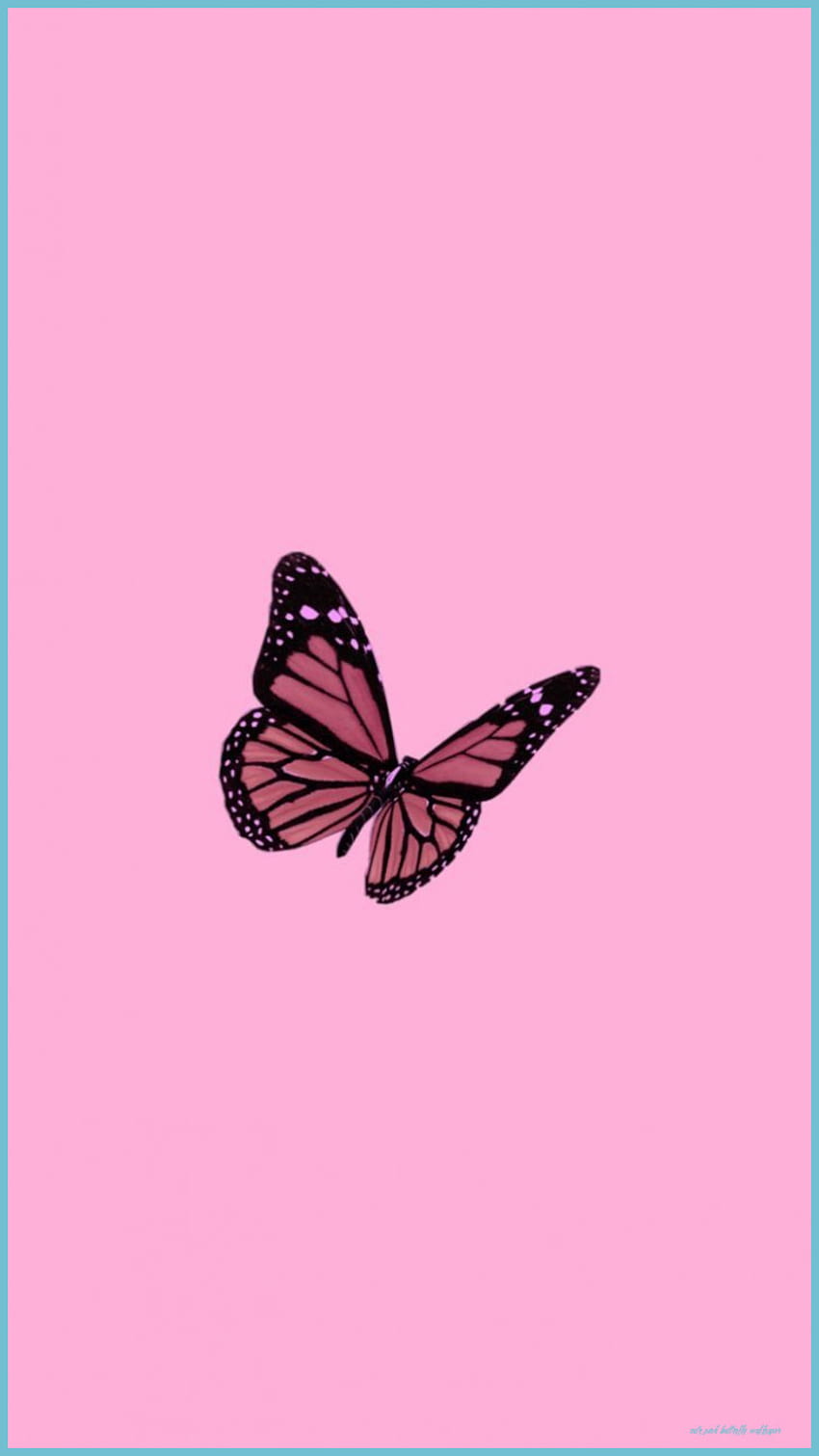 Netter rosa Schmetterling - Spitze Netter rosa Schmetterling - Netter rosa Schmetterling, rosa Glitter-Schmetterling HD-Handy-Hintergrundbild
