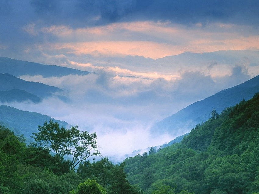 Rauchig . Great Smoky Mountains, Smoky Mountain und Smoky Mountain Hütten HD-Hintergrundbild
